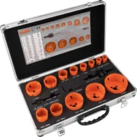 COR BI-METAL KRUNA SET 19-76