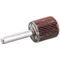 COR ROT. BRUS 60X30X6 P100